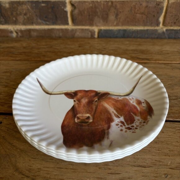 Longhorn Steer 9" Melamine Plates, Ranch Tableware, Set of 4 - Picture 5 of 6